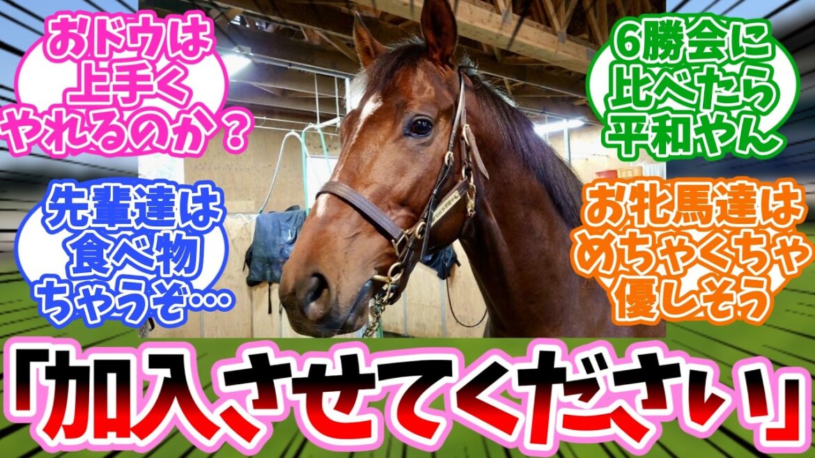 GI 5勝会に新しい馬が入ったって?に対するみんなの反応集【競馬】 GI 5勝会に新しい馬が入ったって?に対するみんなの反応集【競馬】