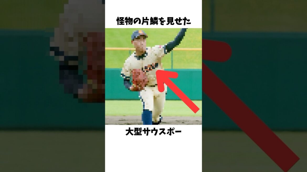 北海道の大型サウスポーは日本ハムで怪物になる予感#プロ野球#北海道日本ハムファイターズ#澁谷純希