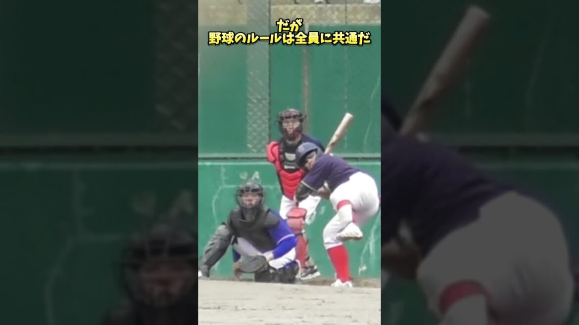 いい指導ってなんだろう #shorts #baseball #野球 #batting #バッティング #野球のミカタ #打撃探究部屋