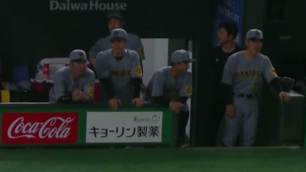 大山悠輔ヒットで喜ぶベンチの木浪聖也や渡邉諒　2025年5月7日 東京ドーム 読売ジャイアンツ対 阪神タイガース