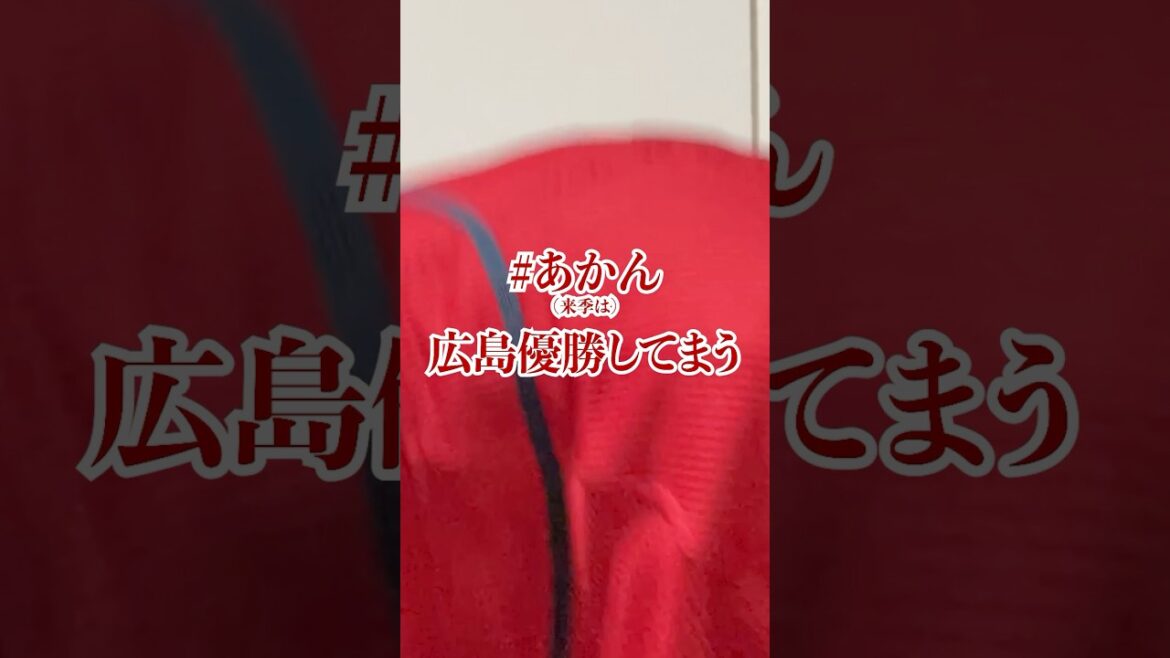 8月のノムスケの試合を生で観た事実で飯が食える　#shorts #カープ #carp #プロ野球 #カープファン #ポジティブ #ポジティブカープファン #野村祐輔 #ノムスケ #こいほー