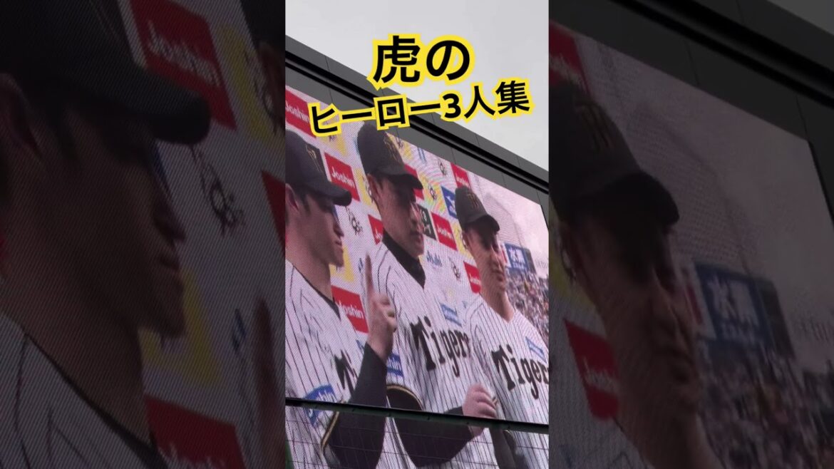 #hanshintigers #近本光司 #大竹耕太郎 #岩崎優 #阪神タイガース #阪神甲子園球場 #阪神応援 #hanshin #甲子園 #阪神 #tigers #野球 #ヒーロー