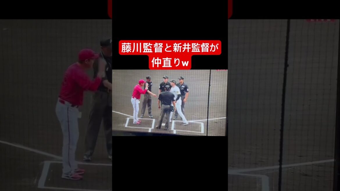 【茶番？】藤川監督と新井監督が仲直りw #プロ野球 #藤川球児 #新井貴浩 #shorts