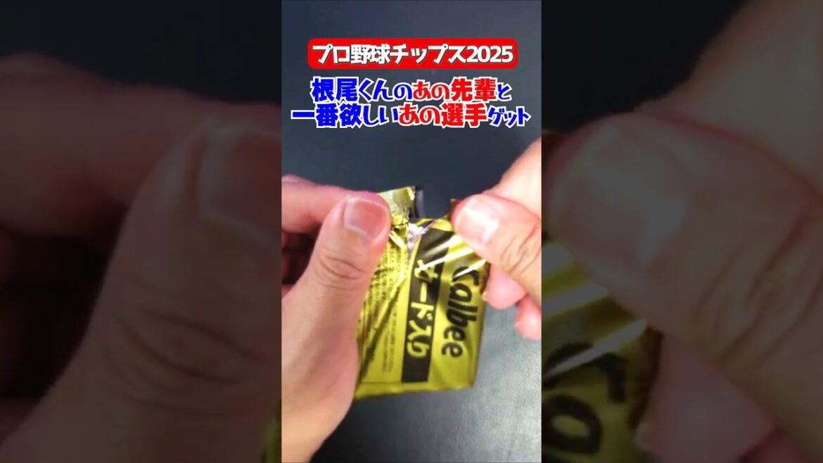 【プロ野球チップス】根尾くんの先輩とセ・リーグで1番欲しいあの選手ゲット【2025第1弾】 【プロ野球チップス】根尾くんの先輩とセ・リーグで1番欲しいあの選手ゲット【2025第1弾】