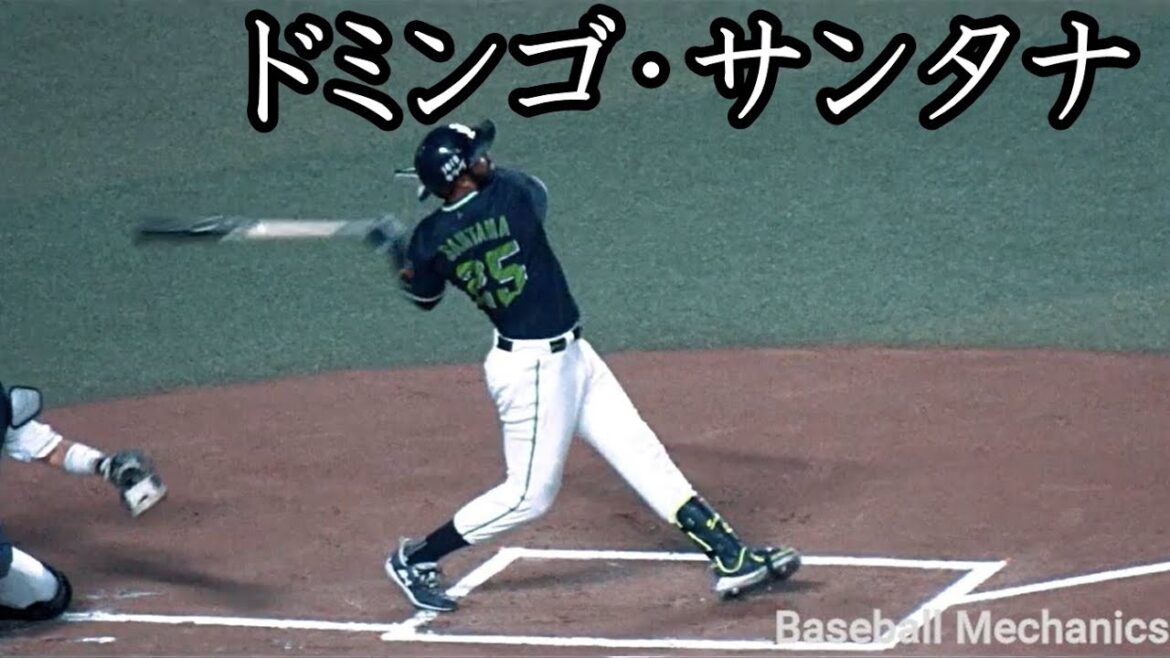 [ヤクルト] ドミンゴ・サンタナ 打撃フォーム (スローモーション付)