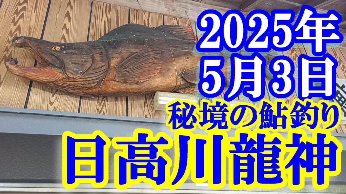 鮎釣り 10cm高垢良好 高串 日高川龍神 2025年 鮎釣り 10cm高垢良好 高串 日高川龍神 2025年