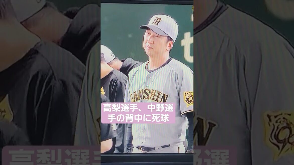 高梨雄平選手、中野拓夢選手の背中に死球　#阪神　#読売　#shorts　#中野拓夢　#心配　#拡散希望　#高梨雄平　