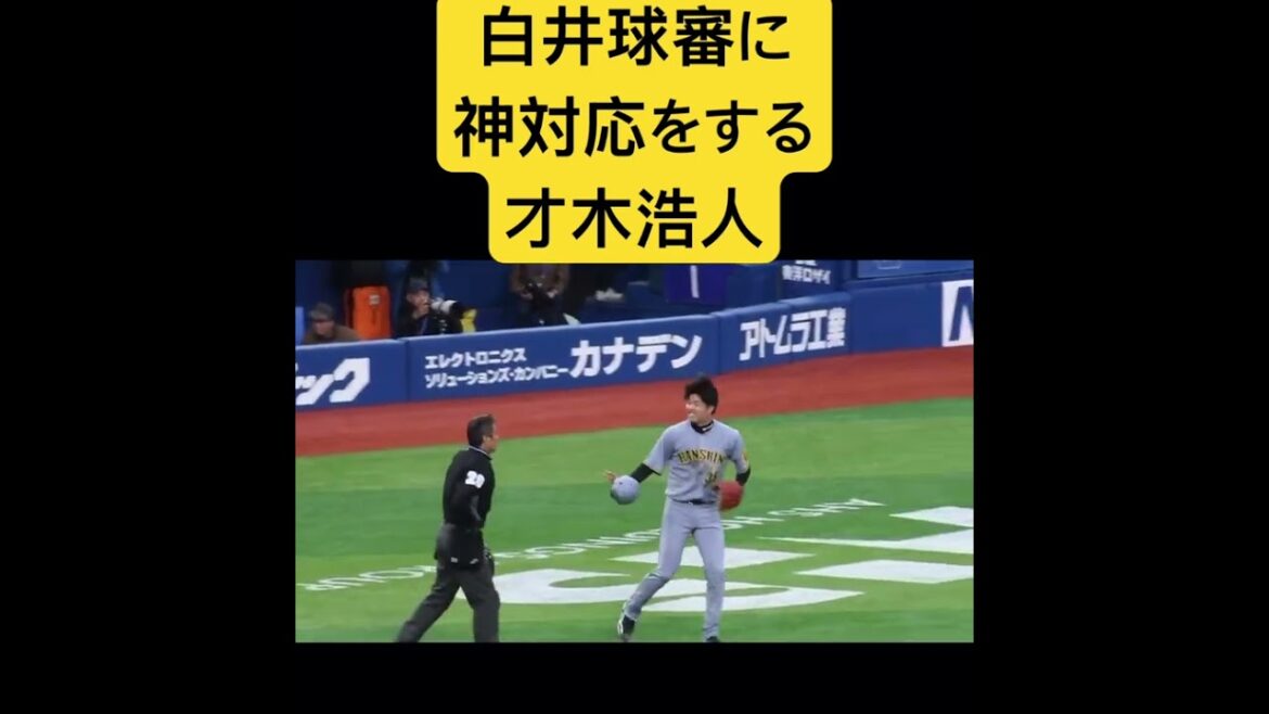 白井球審に神対応をする才木浩人 #プロ野球 #才木浩人 #白井球審 #阪神タイガース #shorts