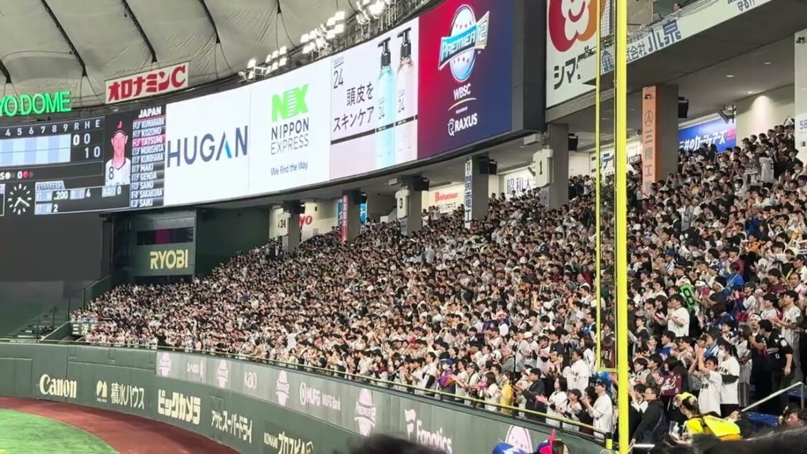 WBSC プレミア12 辰巳涼介 応援歌 2024/11/22  日本 vs ベネズエラ