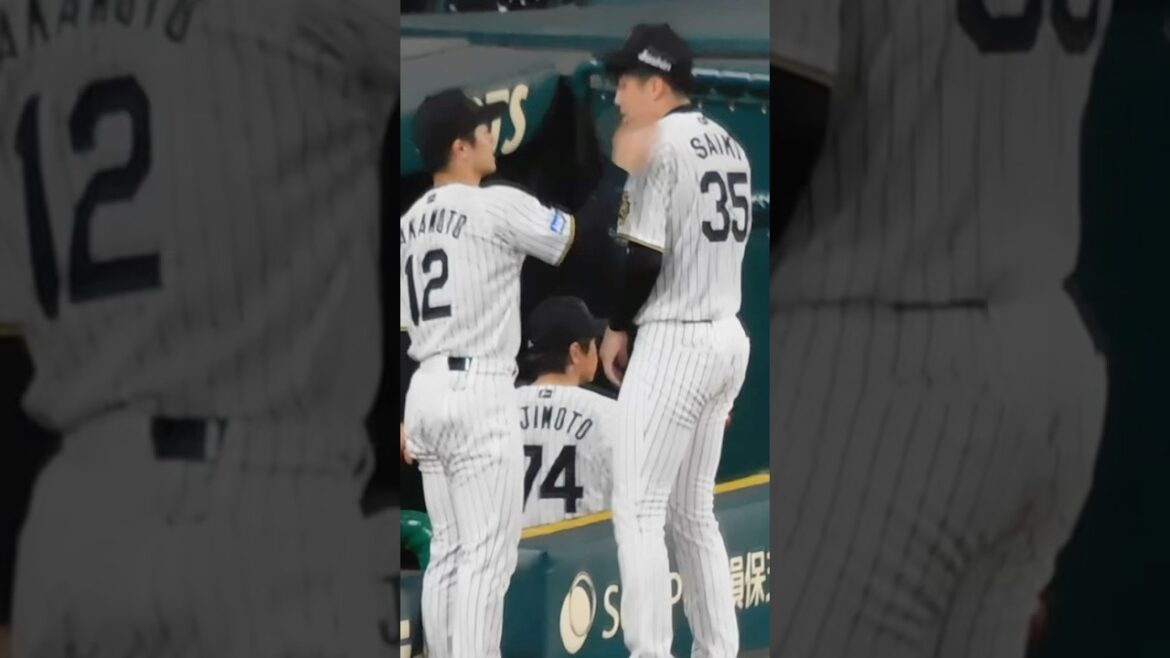 【完封いけよ】8回を投げ終えた才木にゲキを飛ばす坂本誠志郎 【完封いけよ】8回を投げ終えた才木にゲキを飛ばす坂本誠志郎