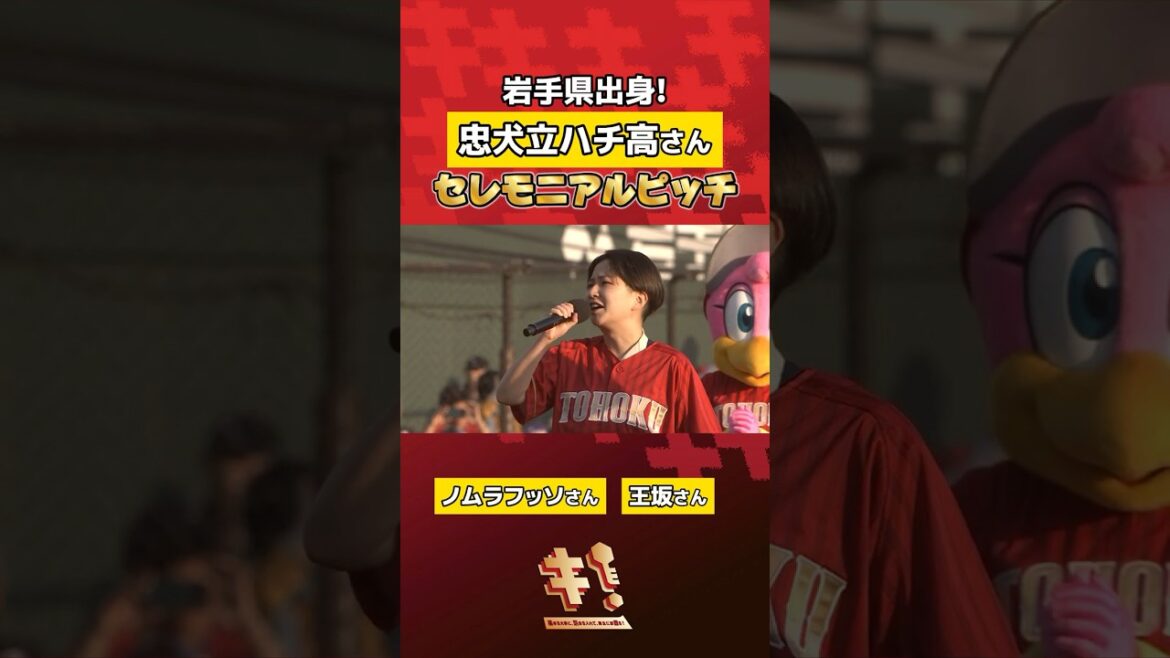 【岩手県出身】忠犬立ハチ高さんセレモニアルピッチ⚾👀