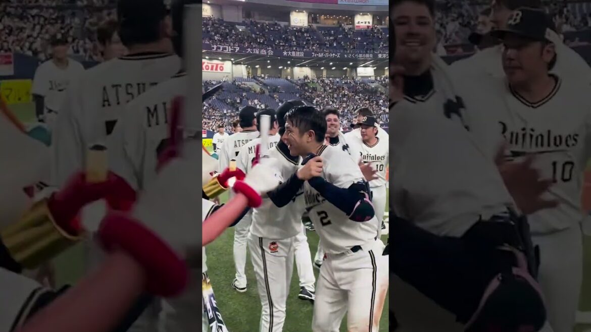 5/20(火)若月選手 今季3度目のサヨナラ打がホームラン！#若月健矢 #サヨナラ #ホームラン #オリックス #shorts