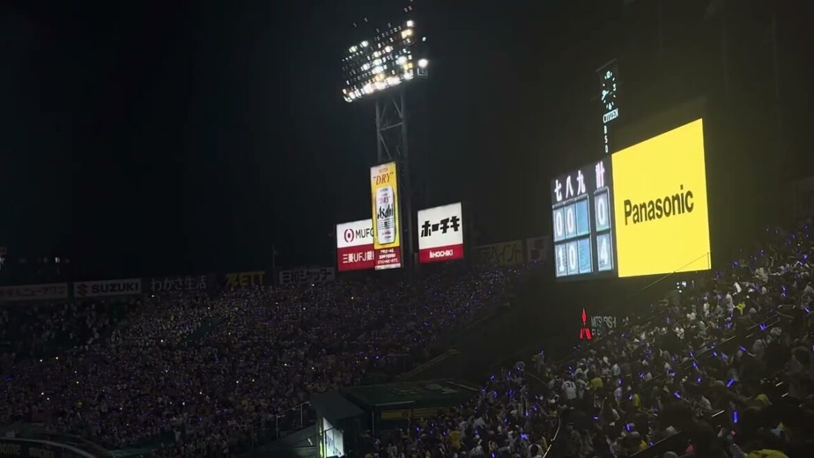 【場内暗転】2025.5.20 勝利のビクトリーディスコ場内ハイライト