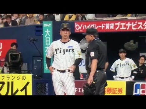 疑惑のファウルチップ判定 藤川監督の指摘に審判団は… 疑惑のファウルチップ判定 藤川監督の指摘に審判団は…