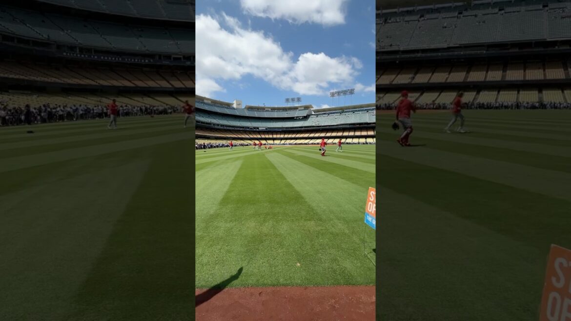 Dodgers Stadium #dodgers #baseball #fortheboys
