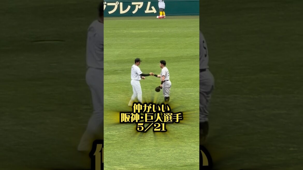 仲がいい阪神・巨人選手25/5/21甲子園 #阪神タイガース #阪神 #プロ野球 #阪神ファン #巨人 #ジャイアンツ #読売ジャイアンツ #森下翔太 #浅野翔吾 #中野拓夢 #門脇誠 #吉川尚輝
