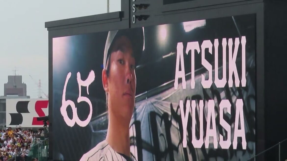 阪神　登場曲2025　湯浅京己 Novelbright The Warrior