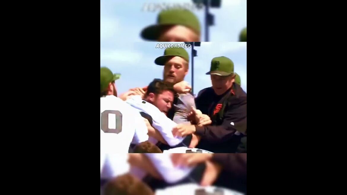 La Historia de Bryce Harper