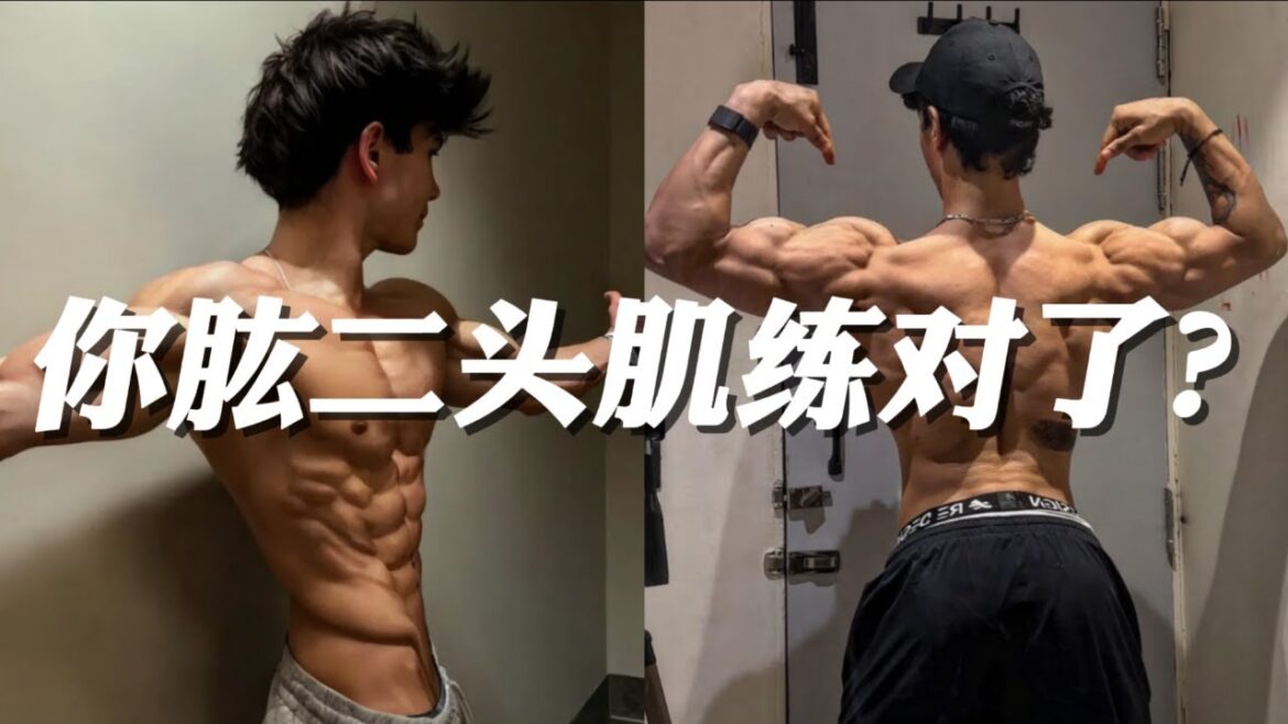 你的肱二头肌练对了？20个常见动作【效率测评】！找出帮你突破瓶颈的黄金动作！