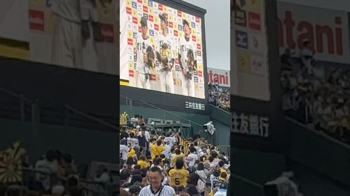 【阪神タイガース】対広島首位攻防戦2025年5月17日のヒーローインタビュー🐯＃阪神＃阪神タイガース＃タイガース＃近本＃大竹＃岩崎