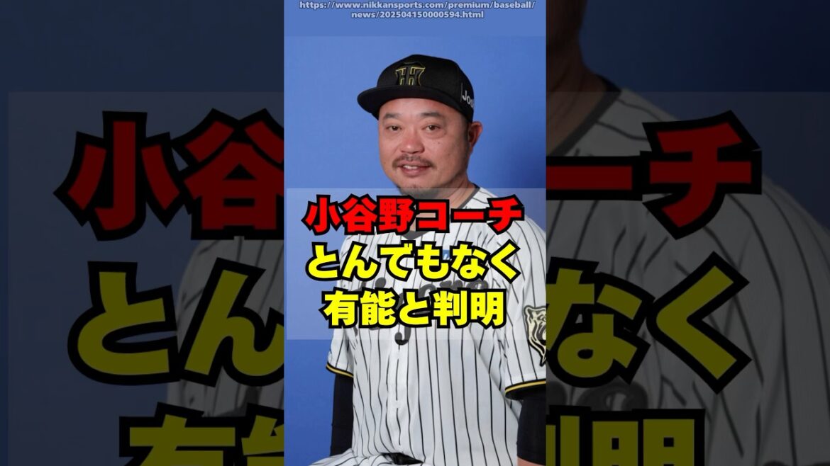 【阪神】小谷野コーチがとんでもなく有能と判明!! 【阪神】小谷野コーチがとんでもなく有能と判明!!