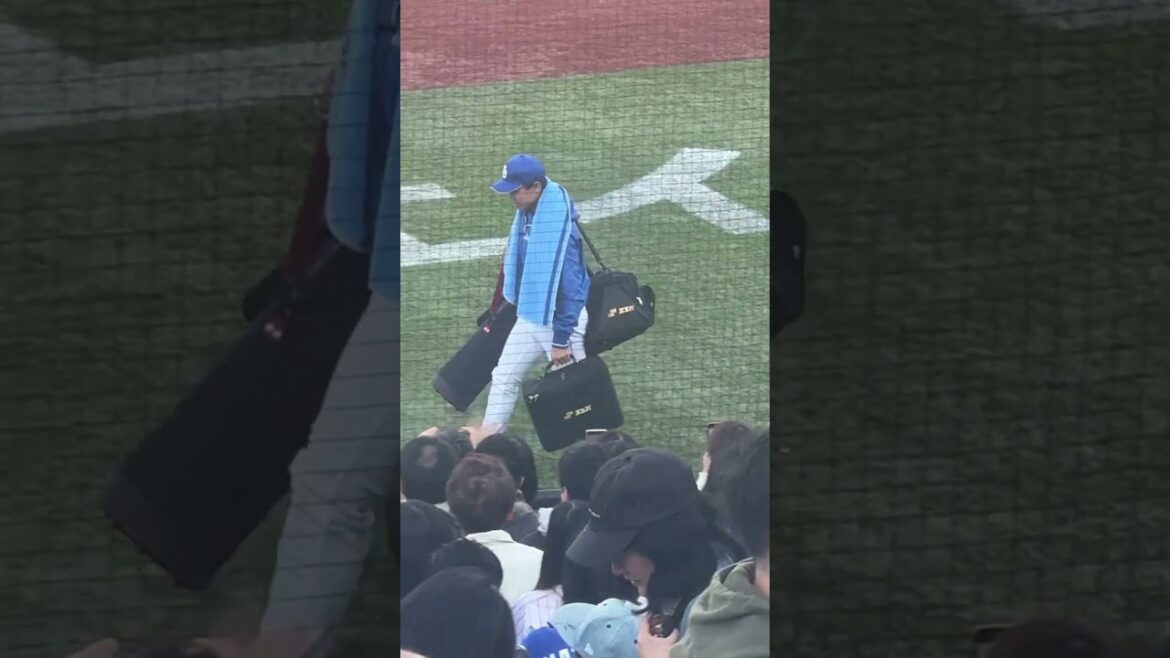 来週こそヒットを打って欲しい大島選手 #中日ファンだもんで #大島洋平