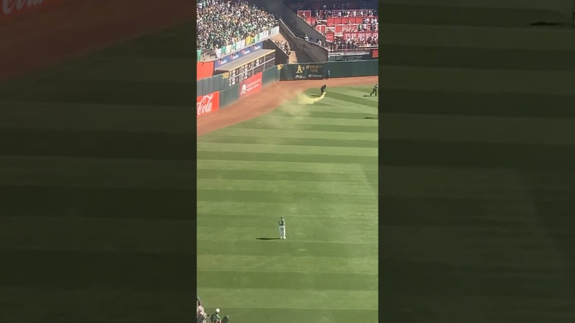 Last As Game!Security Runs Off With Smoke Bomb! #shorts