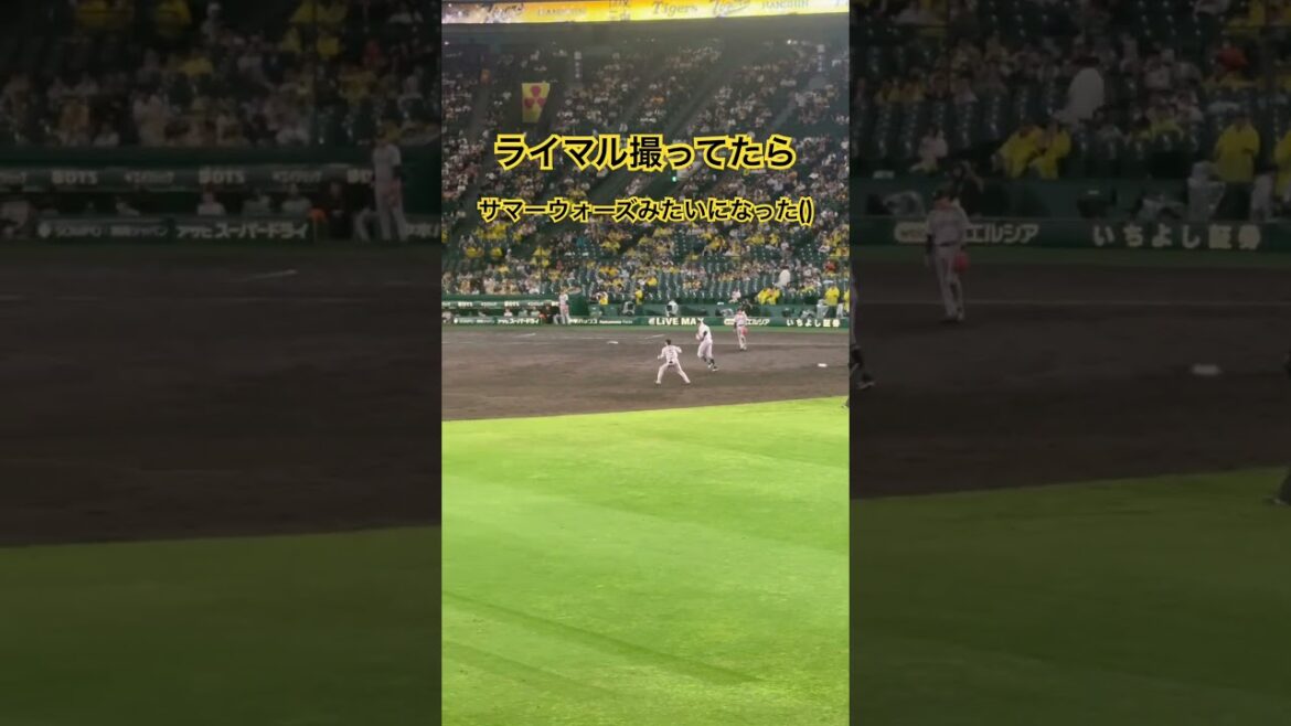 #ライデルマルティネス ライマル撮ってたらサマーウォーズみたいになった阪神応援団()