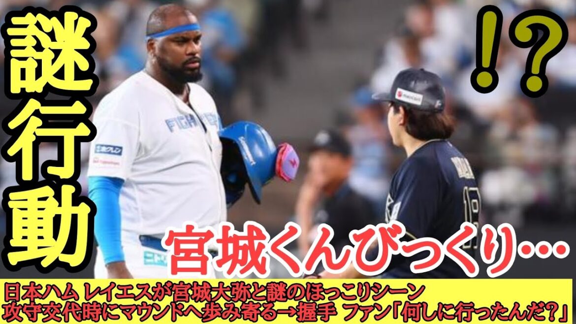 日本ハム レイエスが宮城大弥と謎のほっこりシーン 攻守交代時にマウンドへ歩み寄る→握手 ファン「何しに行ったんだ？」