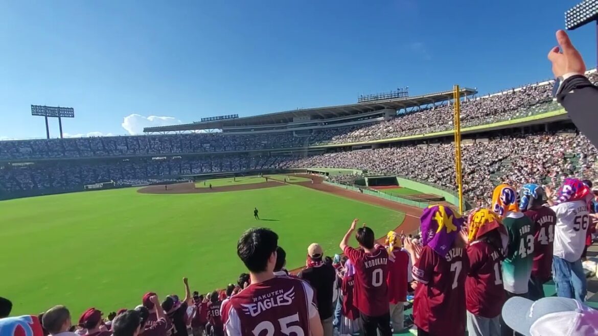20240721　ｺﾌﾞ見事に出塁！【小深田大翔 応援歌】　3回表　東北楽天ｺﾞｰﾙﾃﾞﾝｲｰｸﾞﾙｽ@ほっともっとﾌｨｰﾙﾄﾞ神戸･ﾚﾌﾄ外野