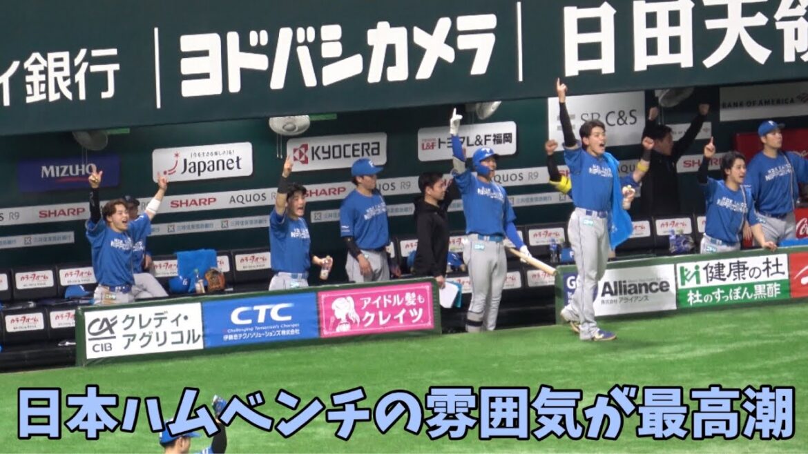 日本ハムベンチ⭐️イケメン集団が歓喜🥺万波中正6号ホームラン⚾️上沢直之撃ち‼️（田宮裕涼・清宮幸太郎・野村佑希・松本剛・新庄監督・郡司裕也・水野達稀 ）2025.5.1⚾️ソフトバンク対日本ハム