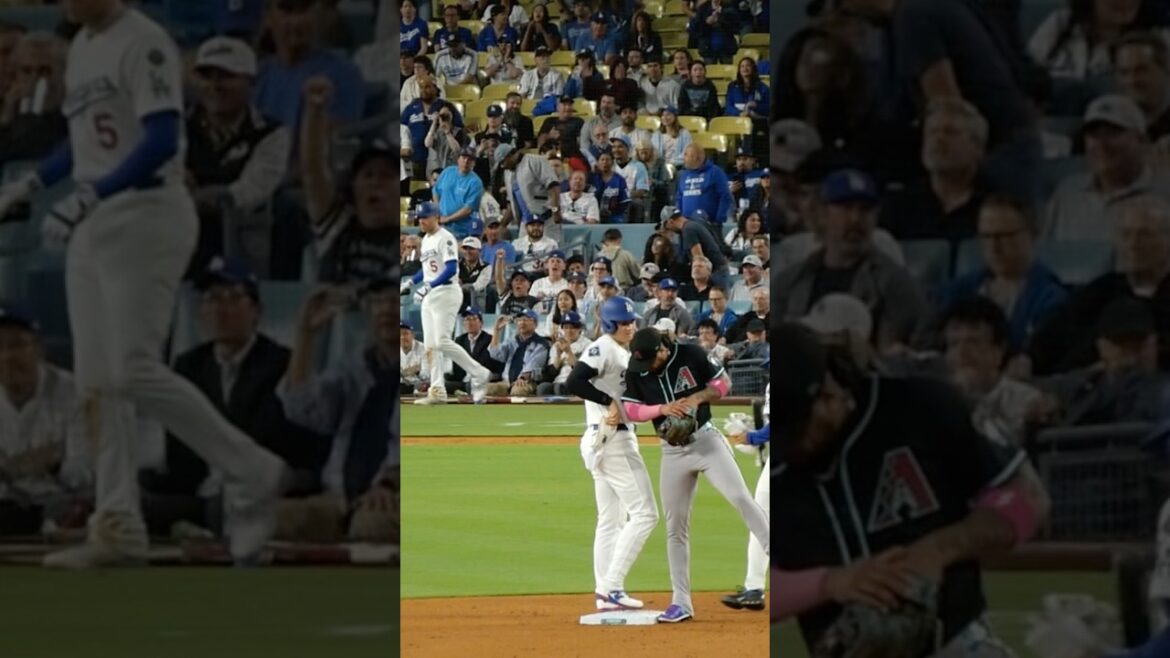 大谷翔平マルテに絡まれる🤣