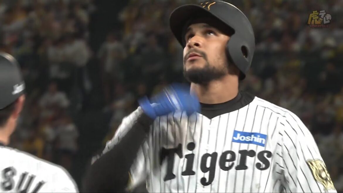 【メモリアル】8回裏、#ヘルナンデス 選手が来日初安打を記録する！【2025/5/22Ｔ－Ｇ】