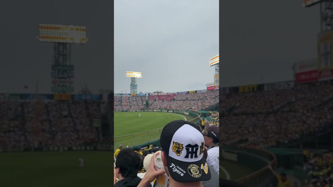 【阪神タイガース】対広島首位攻防戦2025年5月18日、一球コール🐯#阪神#阪神タイガース＃タイガース
