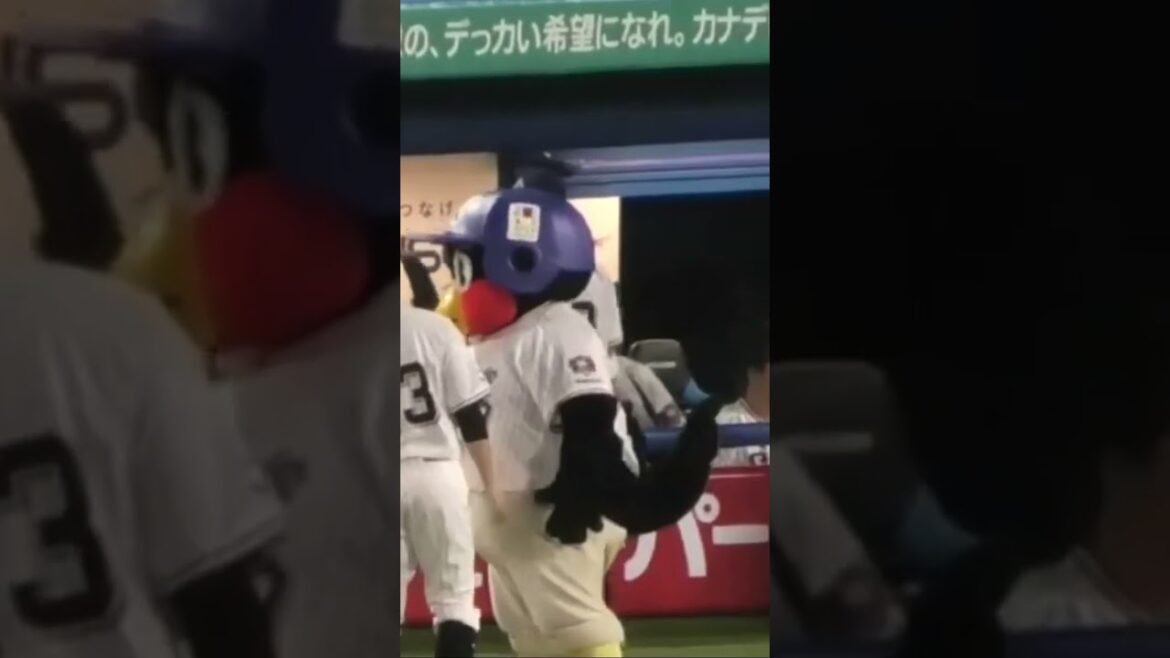 つば九郎、山崎晃大朗を抱擁する #つば九郎 #東京ヤクルトスワローズ #shorts