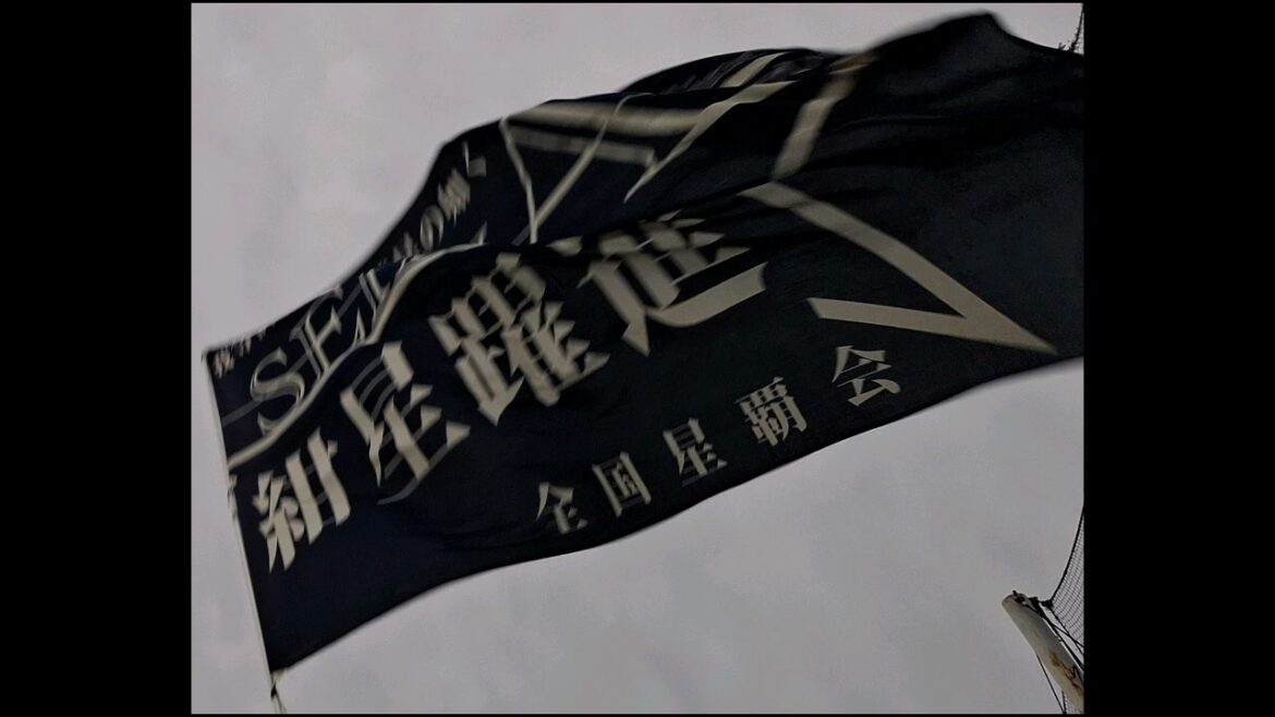 2025.5.18 ベイスターズ 代打テーマ〜ココイチ@神宮球場