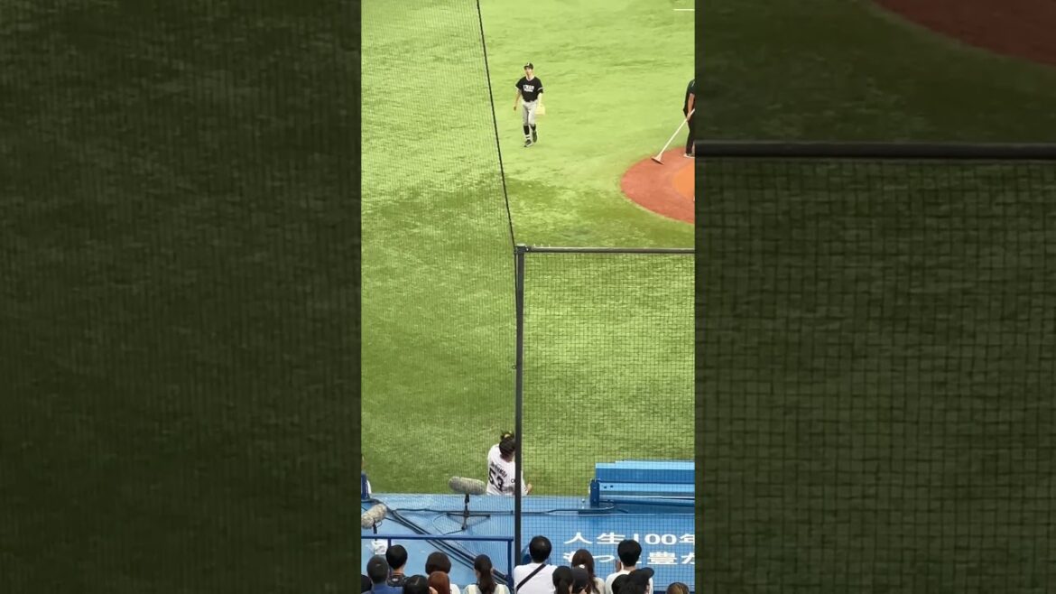 【早スギィ‼︎】五十嵐亮太 始球式andキャッチボール #shorts #東京ヤクルトスワローズ #プロ野球