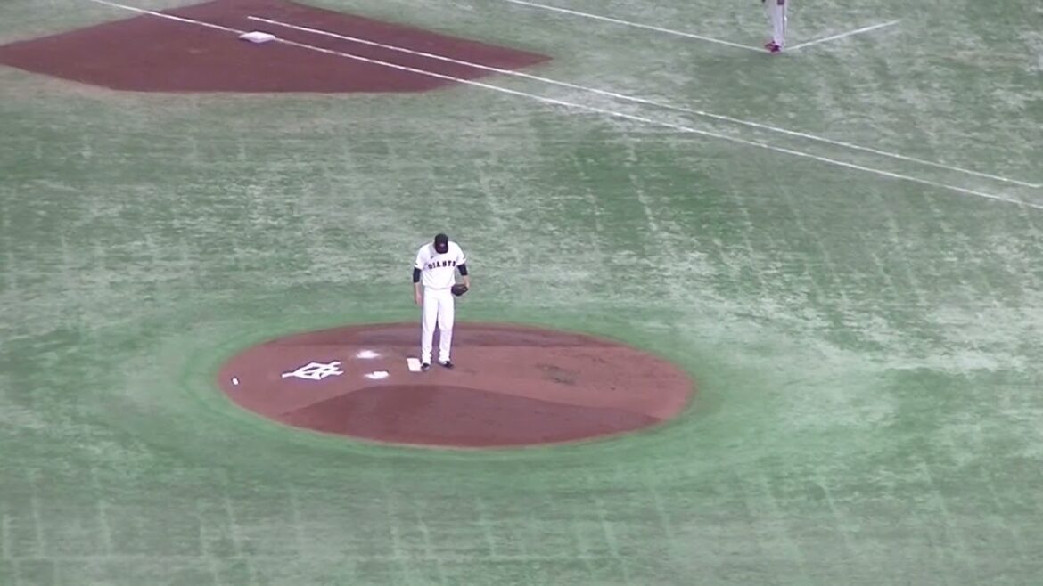 上本崇司に送られるが小園海斗を三振にとる戸郷翔征（2024年6月28日読売ジャイアンツ対 広島カープ）