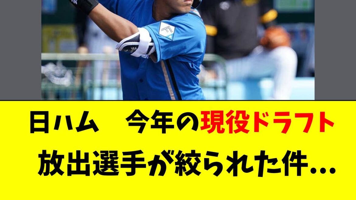 【日ハム】今年の現役ドラフト候補が判明してきている件・・ 【日ハム】今年の現役ドラフト候補が判明してきている件・・