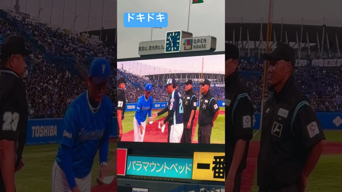 高津臣吾監督ガンバレ！ヤクルトスワローズ