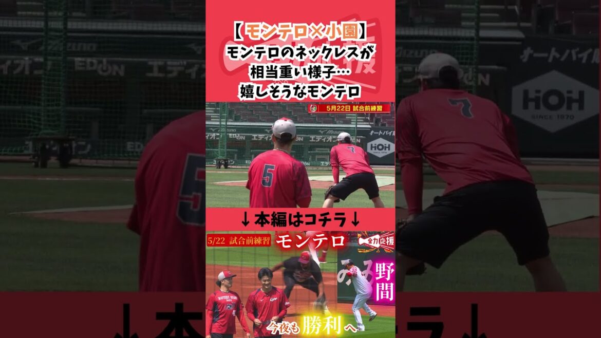 【鯉活】モンティのネックレスに小園が崩れ落ちる。。。 #カープ #小園海斗 #モンテロ 【鯉活】モンティのネックレスに小園が崩れ落ちる。。。 #カープ #小園海斗 #モンテロ