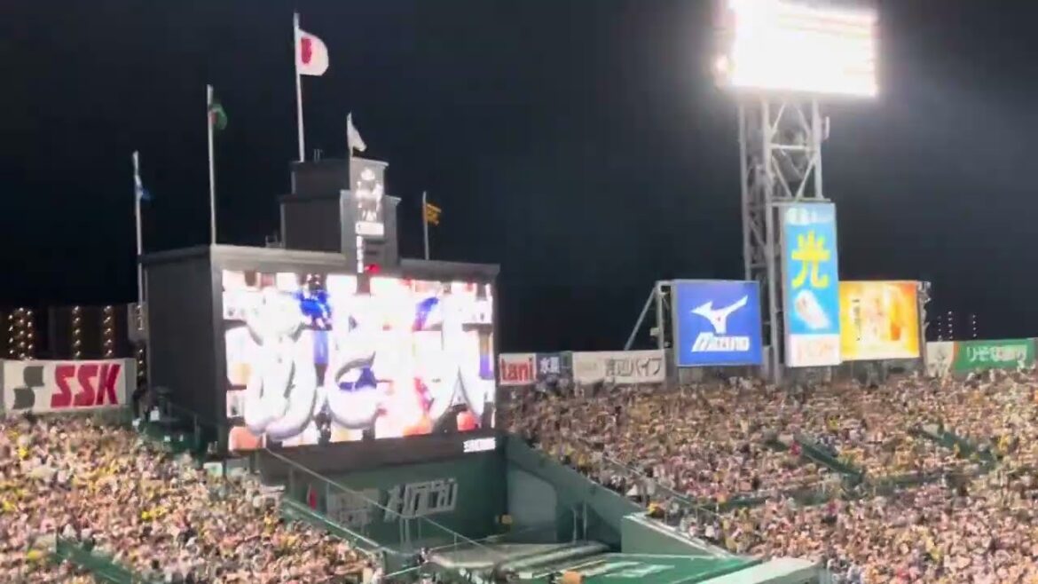 【今日は👍】🐯#漆原大晟 投手が締める！🐯あと1人から阪神勝利〜六甲おろし✨現地雰囲気  24.6.7.#阪神甲子園球場 🆚#埼玉西武ライオンズ