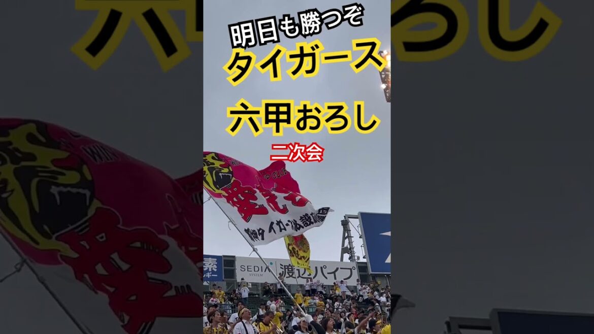 #阪神タイガース #阪神応援 #阪神甲子園球場 #hanshintigers #阪神応援歌 #hanshin #甲子園 #阪神 #tigers #六甲おろし #野球 #佐藤輝明