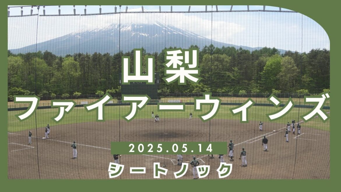【BCリーグ2025】山梨ファイアーウィンズのシートノック！