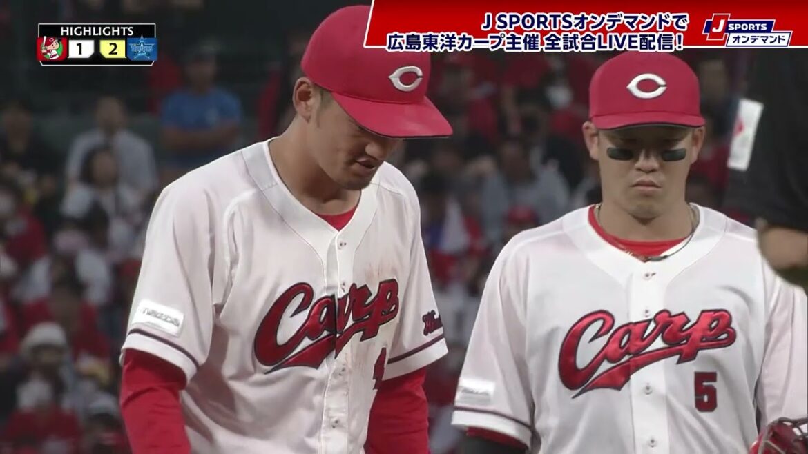 【ハイライト】広島 vs.横浜DeNA｜プロ野球2025公式戦(5月23日)#carp