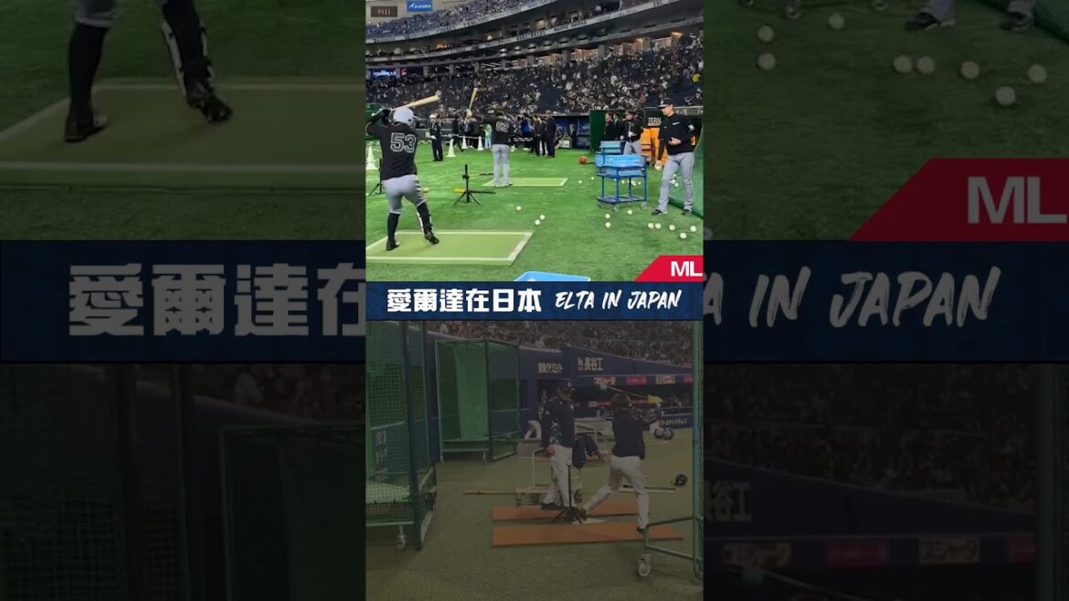 愛爾達特派小組挑戰一日雙蛋 東京、名古屋巨蛋任務達成