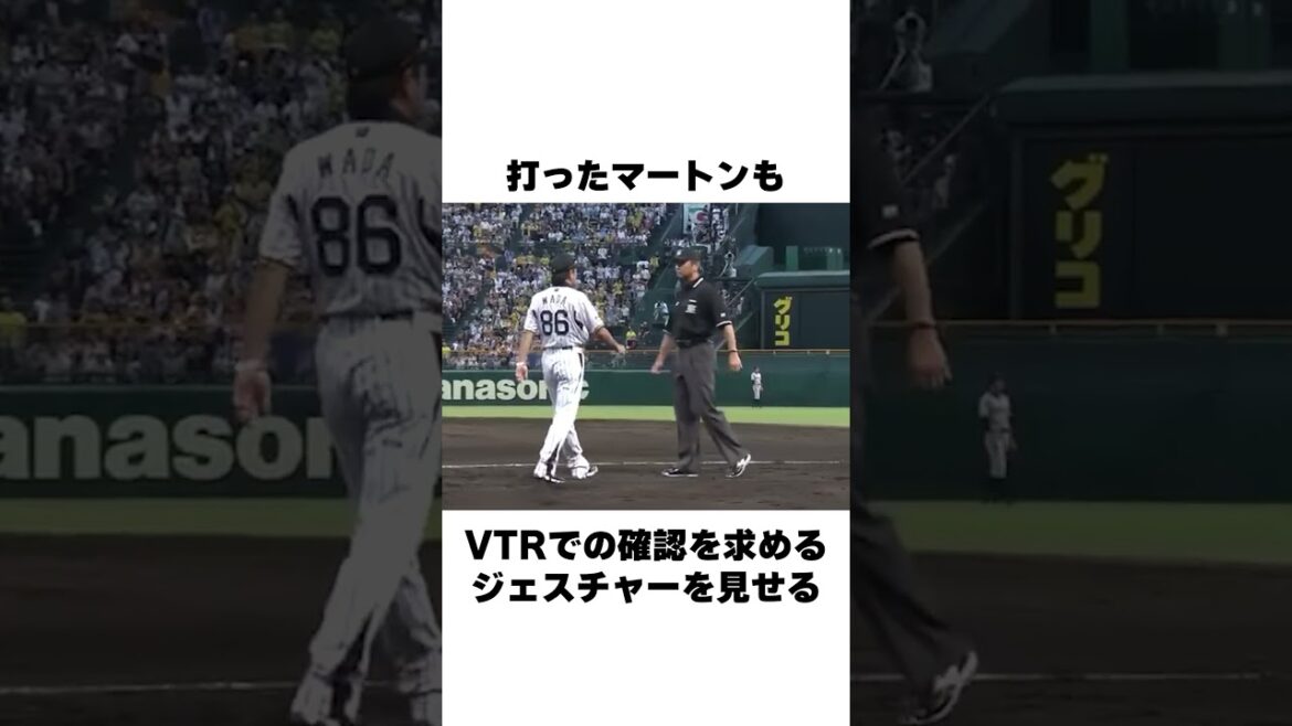 「ホームランを打ったマートンにブチギレ」審判についての雑学 #野球 #野球雑学 #阪神タイガース