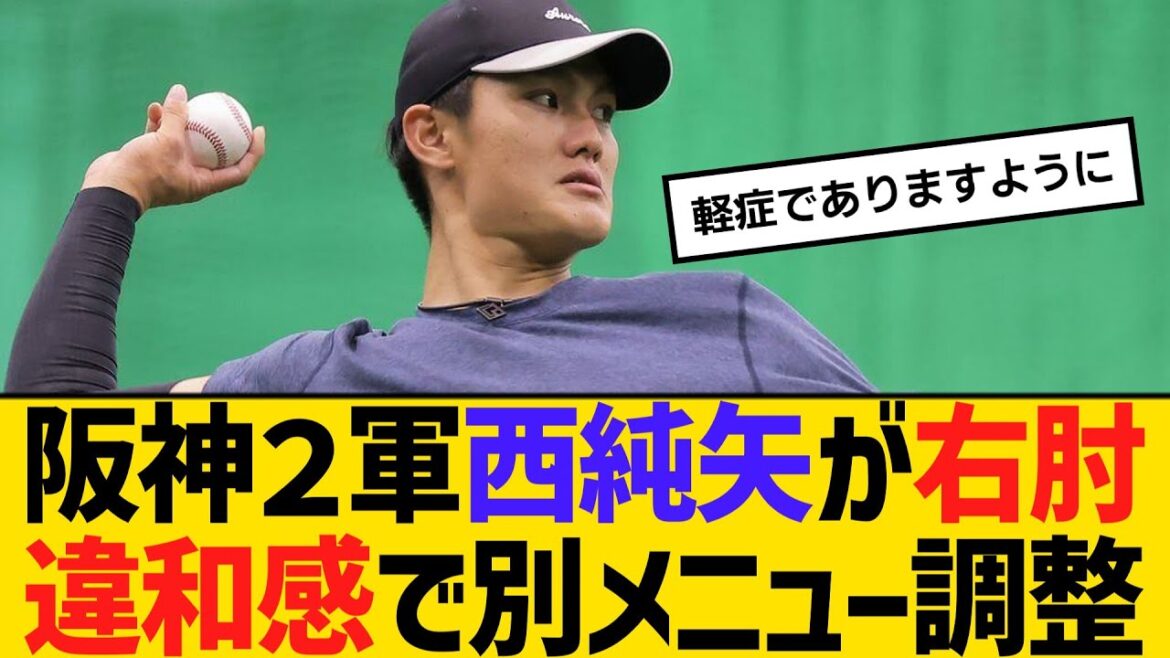 阪神２軍西純矢が右肘違和感で別メニュー調整　【ネットの反応】【反応集】