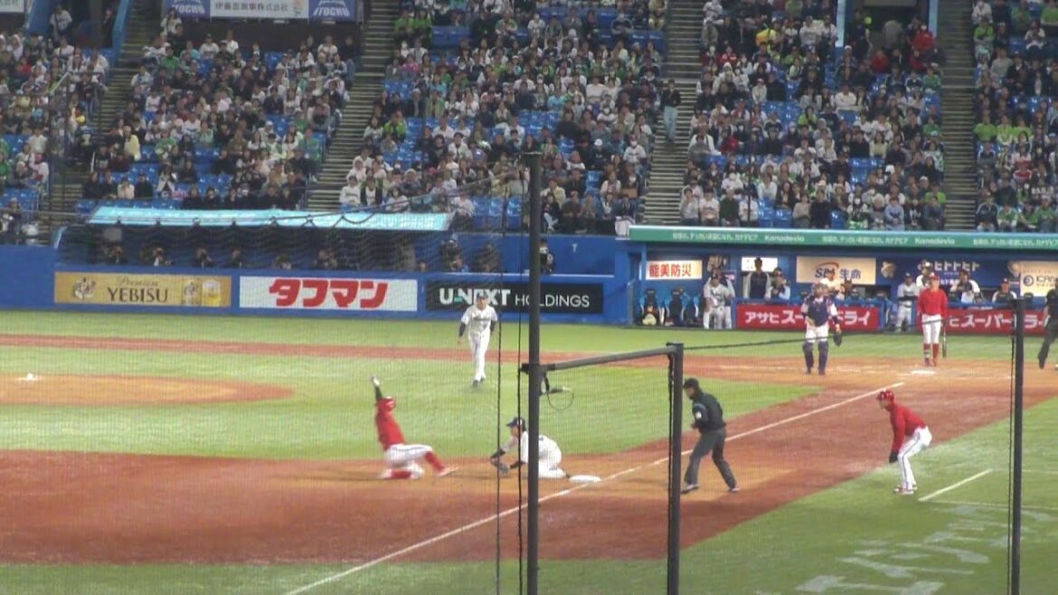 ヤクルト 中村悠平 盗塁阻止でナイスプレー　小園海斗は盗塁失敗　ヤクルト vs 広島　2025年5月5日(月) 神宮球場