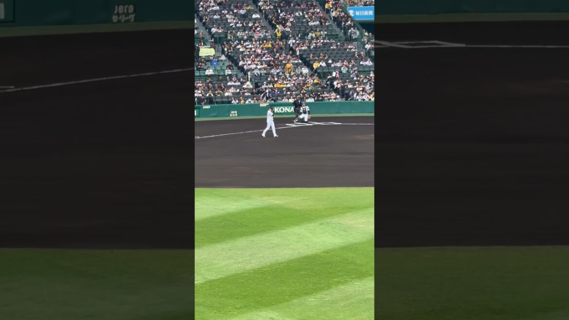 #西勇輝 今期初登板 グラウンドに帽子を取りマウンドに上がる #阪神タイガース #甲子園